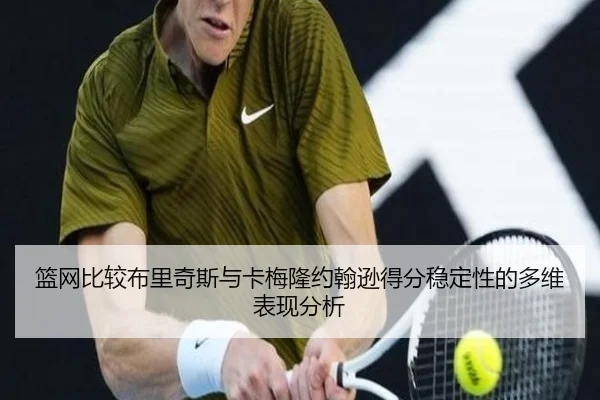 篮网比较布里奇斯与卡梅隆约翰逊得分稳定性的多维表现分析