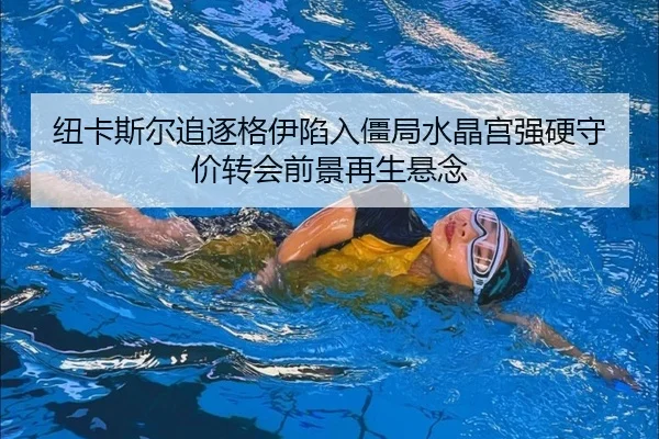 纽卡斯尔追逐格伊陷入僵局水晶宫强硬守价转会前景再生悬念